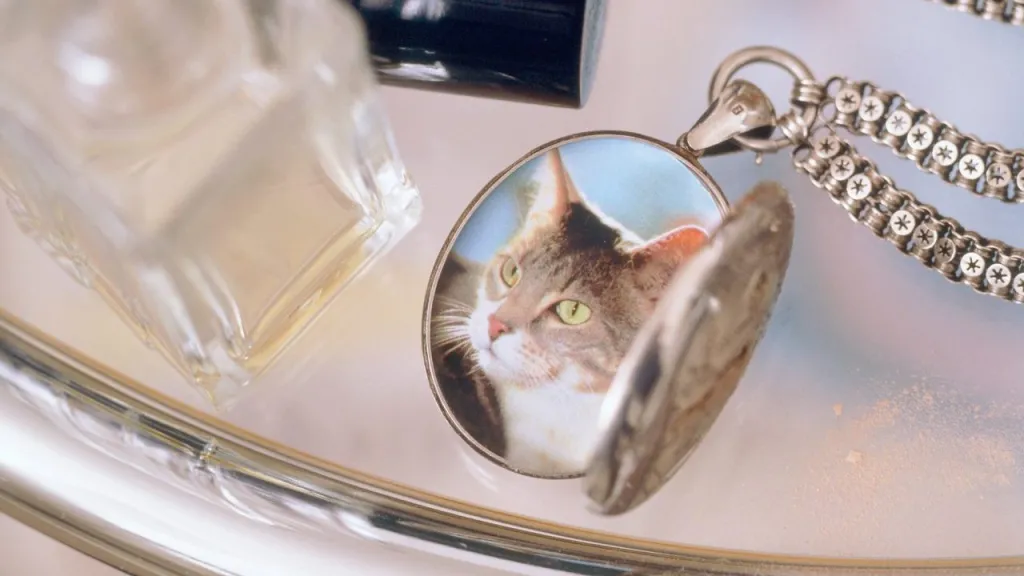 Image of table focused on an open locket containing a picture of a cat.