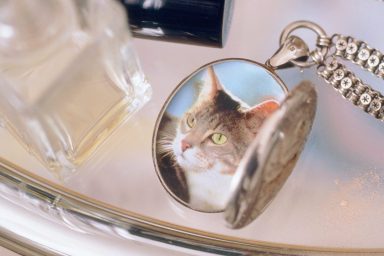 Image of table focused on an open locket containing a picture of a cat.