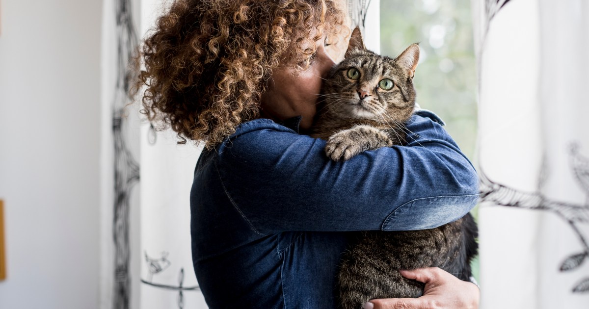 Cat Reunited With Family 11 Years After Going Missing