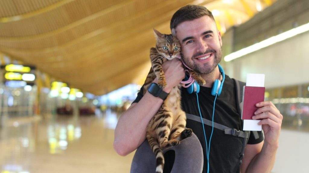 A man traveler hugging a therapy cat at an airport.