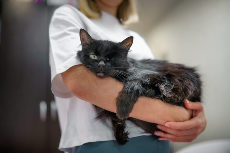 woman holding a black one-eyed cat in her arms