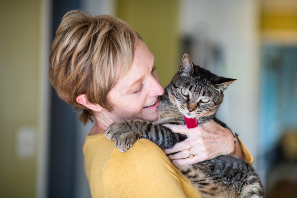 Rescue Cat With Seizure Disorder Adopted by Parent With Epilepsy