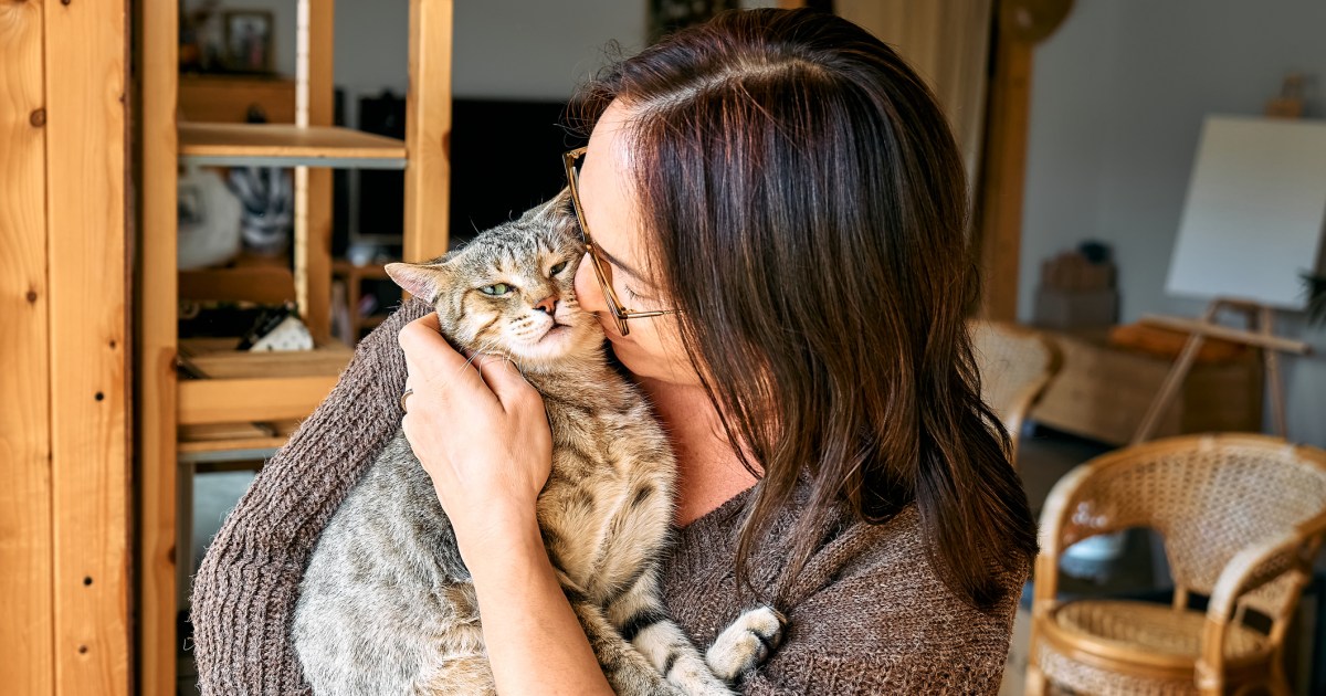 Lacking Cat Reunited With Guardian 11 Years Later
