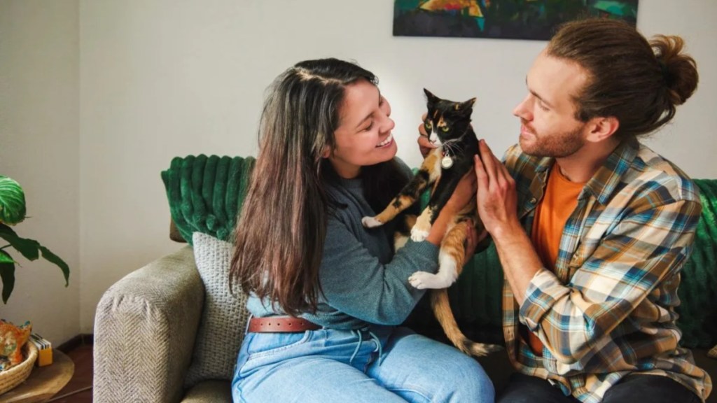 An affectionate young couple petting their adopted cat while chilling in the living room at home.