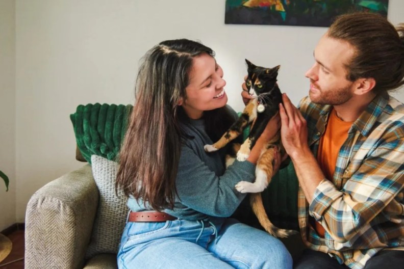 An affectionate young couple petting their adopted cat while chilling in the living room at home.