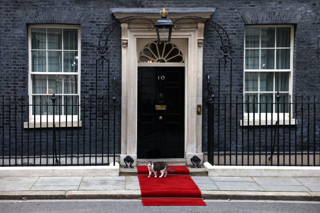 LONDON, ENGLAND - SEPTEMBER 18: Larry the cat is seen outside 10 Downing Street prior to the arrival of President of Poland Andrzej Duda on September 18, 2022 in London, England. Foreign dignitaries, heads of state and other VIPs are arriving in London prior to the funeral of Queen Elizabeth II on Monday. The 96-year-old monarch died at Balmoral Castle in Scotland on September 8, 2022, and is succeeded by her eldest son, King Charles III. (Photo by Hollie Adams/Getty Images)
