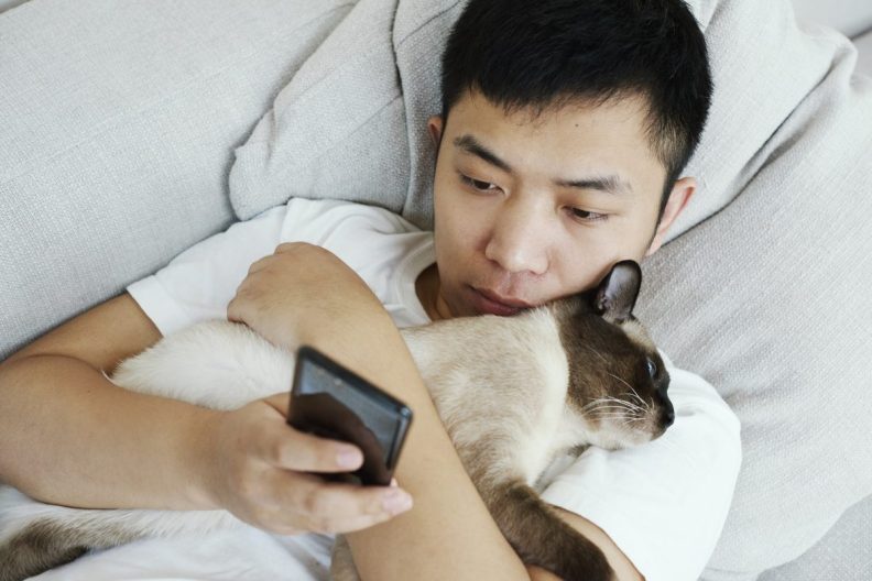 Young Asian man in bed, holding sick cat who is in pain, using his phone to detect cat pain in an app.