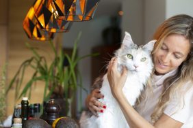 Chat Maine Coon avec propriétaire, ils font de bons animaux de compagnie.