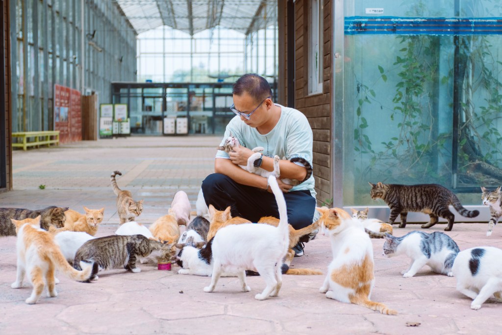 Chen Hao, manager of the Cat Island, Shanghai, China, on July 22, 2023.