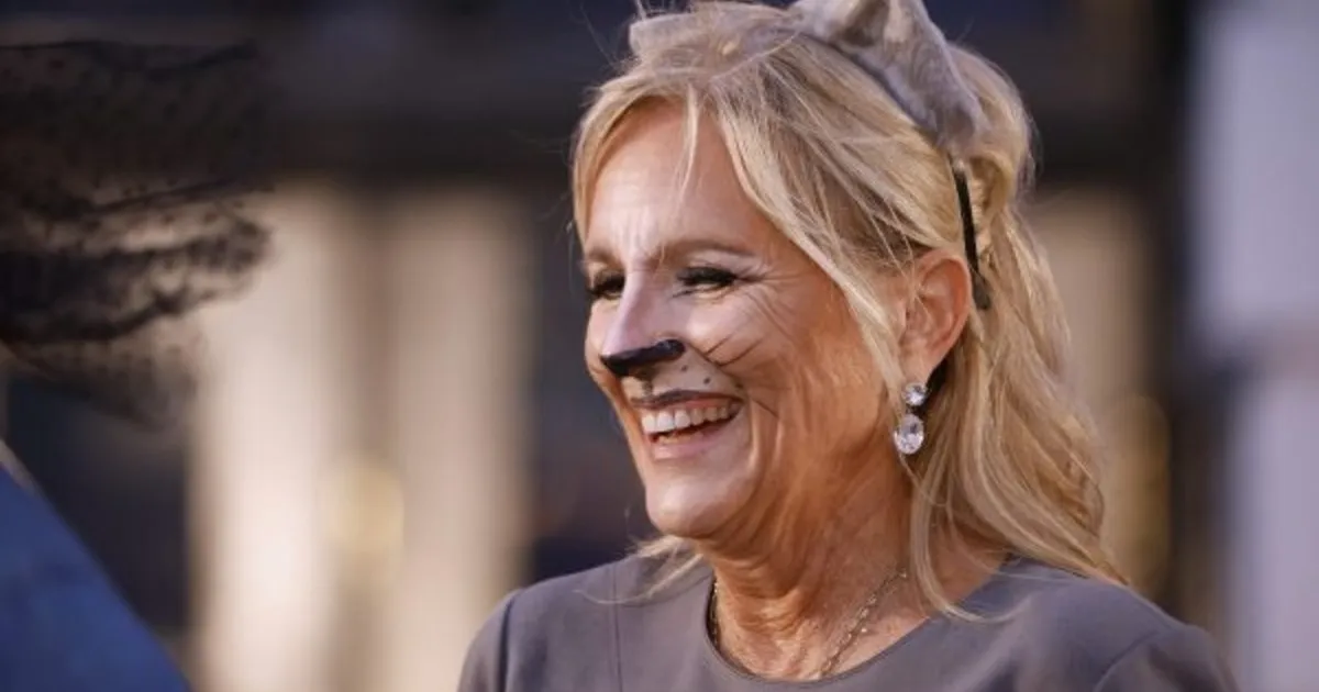 Jill Biden’s White Home Cat Was Inspiration for New Guide