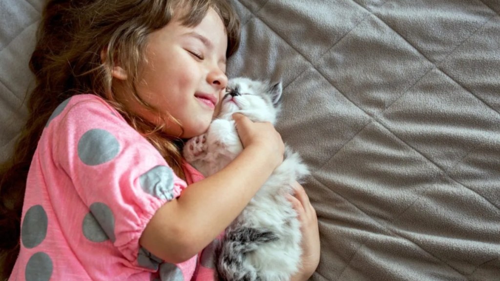 A little girl with a kitten, like the viral Instagram video featuring a rescue kitten and a child's friendship.