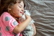 A little girl with a kitten, like the viral Instagram video featuring a rescue kitten and a child's friendship.