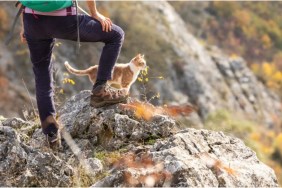 A cat standing with a hiker, like the one who got stranded on a Boulder flatiron with owner.