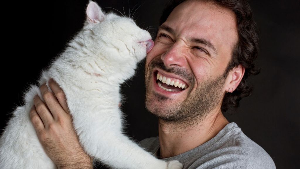 White cat licks man's face as he laughs happily.