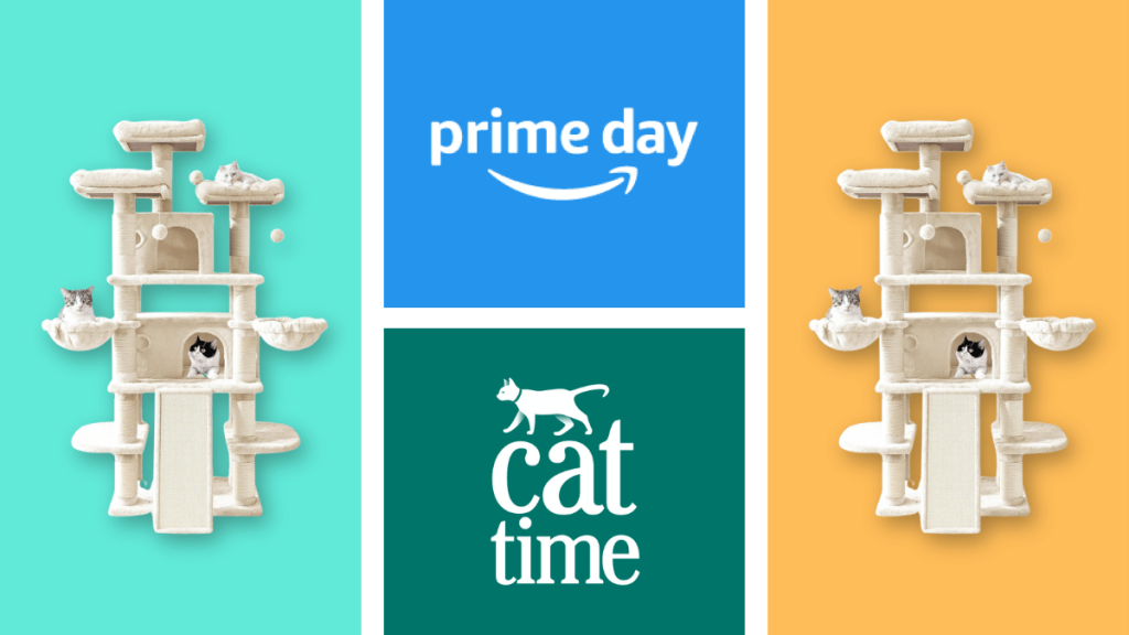 Meowsome Deal: Allewie 68-Inches Cat Tree — Prime Day 2024