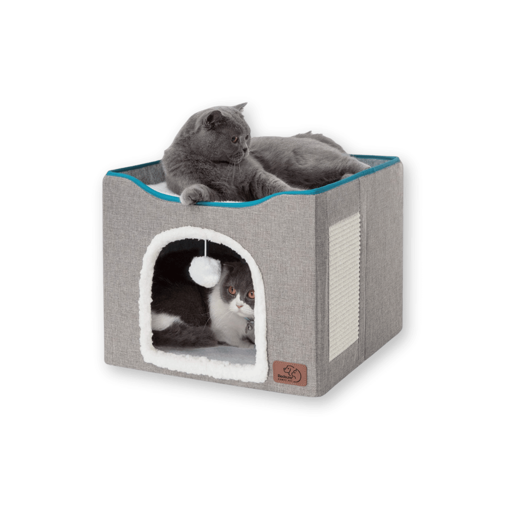 8 Best Cat Houses for Your Feline Friend in 2025