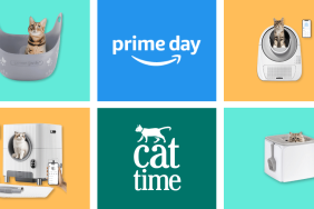 Best Cat Litter Box Prime Day Deals