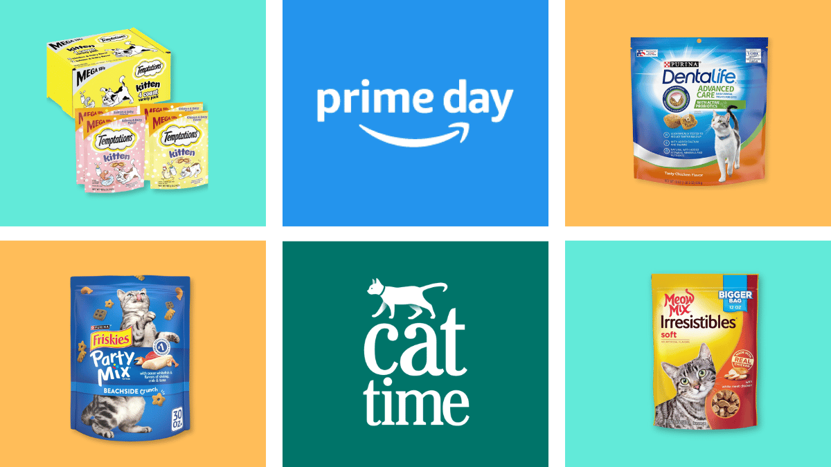 11 Best Cat Treat Deals for Prime Day 2024