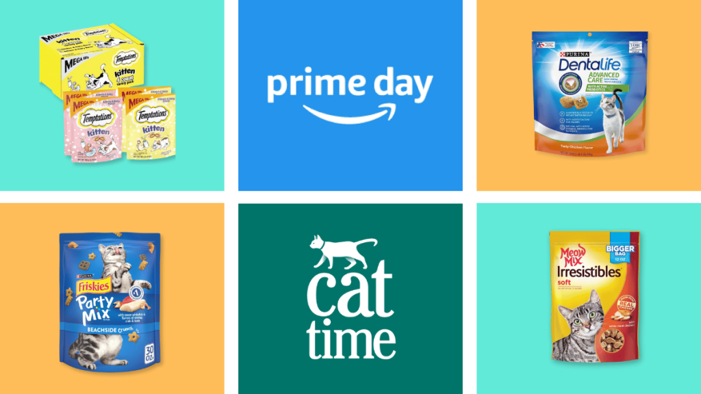 Prime Day Deals