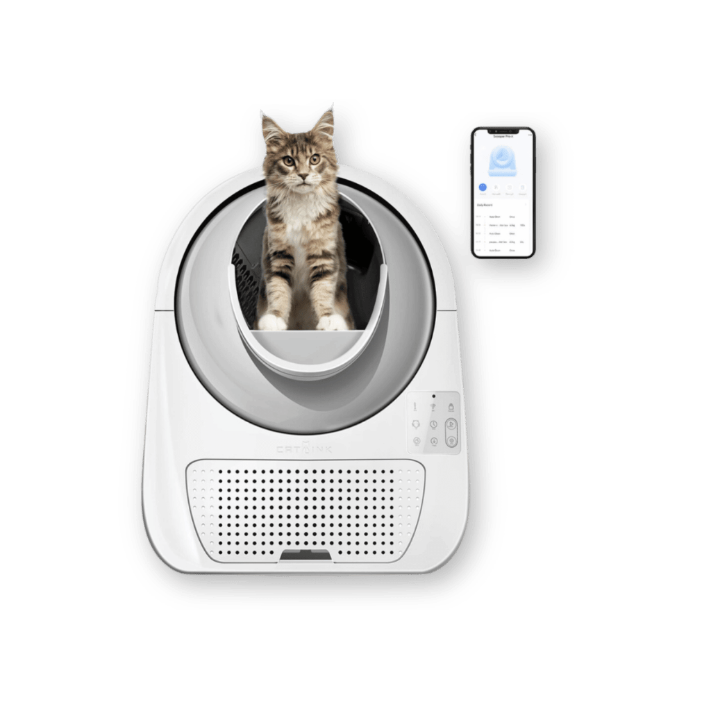 Catlink Prime Day Deal