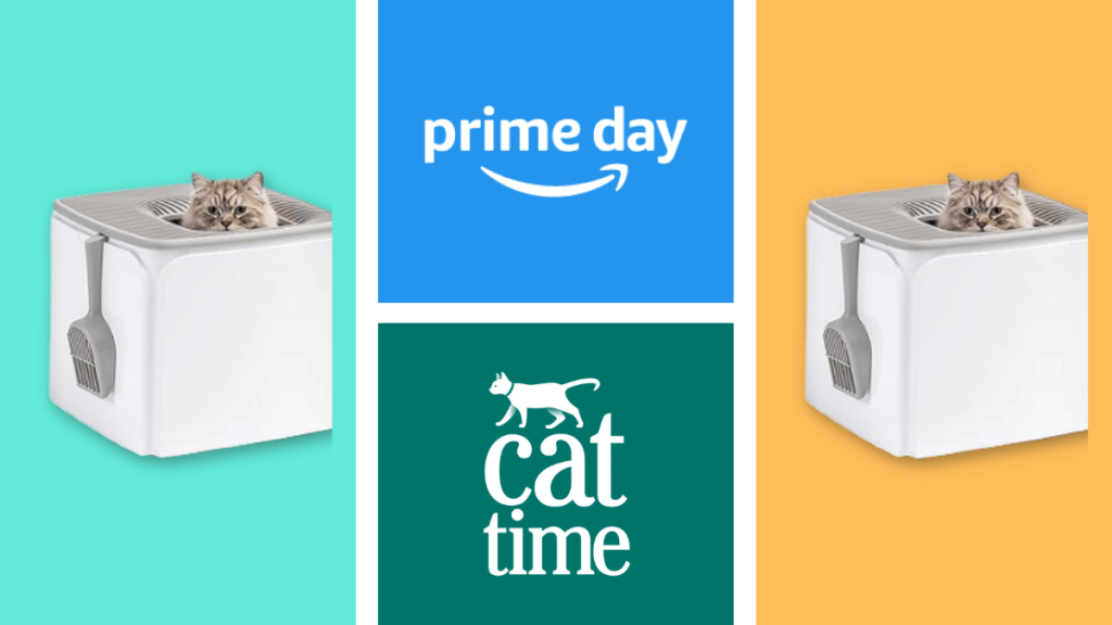 Meowsome Deal: IRIS Top Entry Cat Litter Box with Scoop — Prime Day 2024