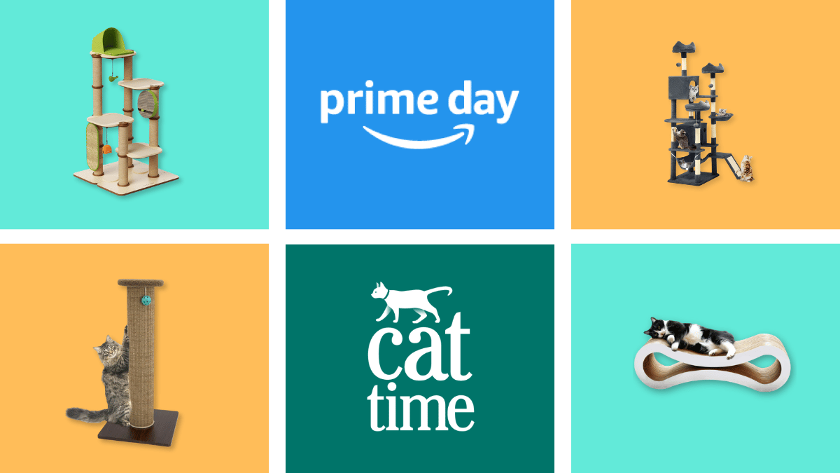 10 Best Cat Tree Deals for Prime Day 2024