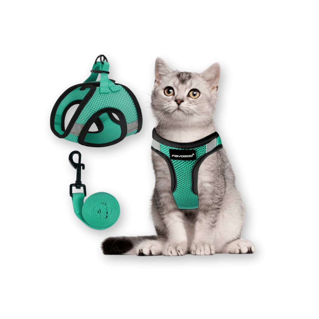 Best harness for large cats best sale