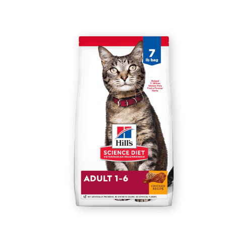 Best Cat Dry Food by Hill's