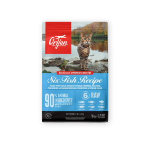 Best Cat Dry Food by Orijen