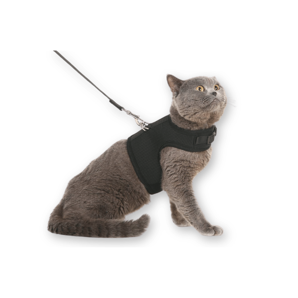 Best Cat Harness by Pupteck