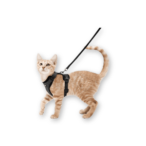 Best Cat Harness by Rabbitgoo