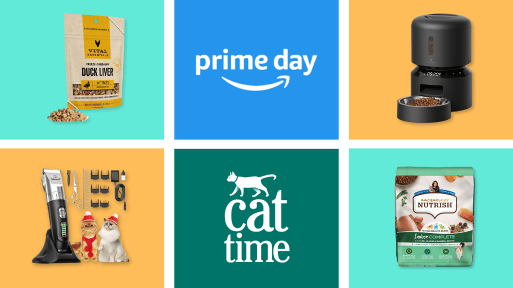 Amazon’s October Prime Big Deals Day 2024: Everything We Know