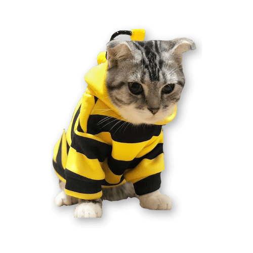 Bee costume for cat