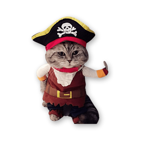 Pirate costume for cat