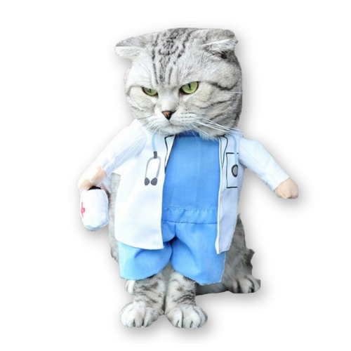 Doctor costume for cat