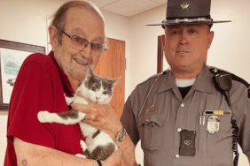 cat rescued ohio