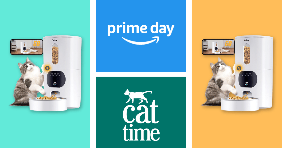 Yakry Automated Cat Feeder With Digicam Is 40% Off — High Giant Deal Days