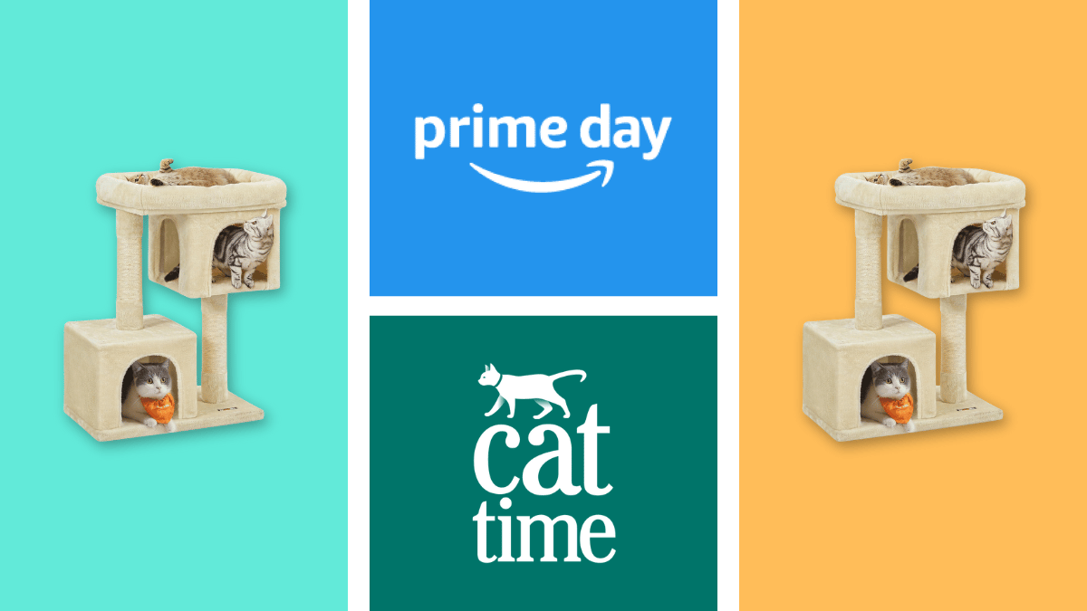 Feandrea Cat Tree Tower Is 27 Off — Prime Big Deal Days