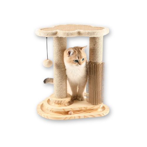 Best Cat Scratch Post