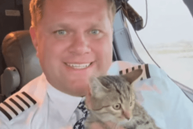 pilot adopts kitten after flying it along with other shelter animals to safety from hurricanes