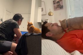 Video showing how cat bonds with owner’s boyfriend.