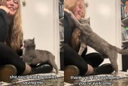 Video of cat thanking rescuer for saving her.