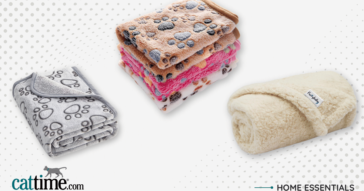 9 Greatest Cat Blankets — Permitted by Kitties