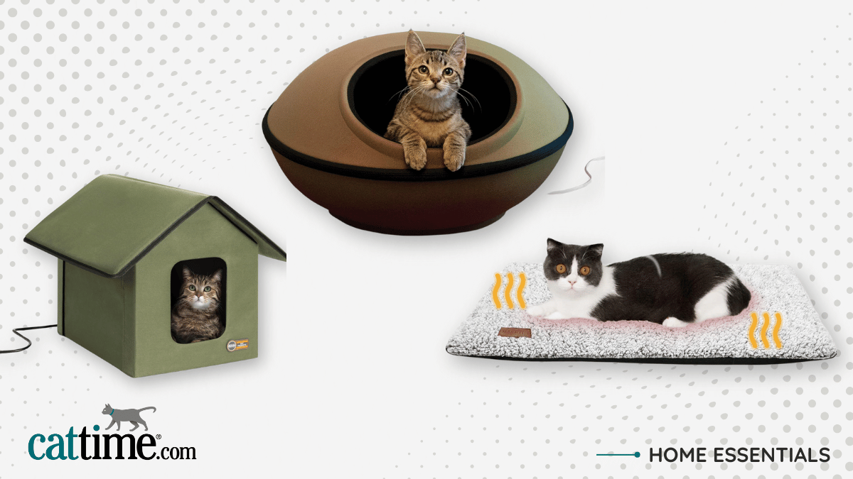 Image showcasing 15 Best Heated Cat Beds and Houses