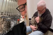 Video of shelter cat with mourning owner.