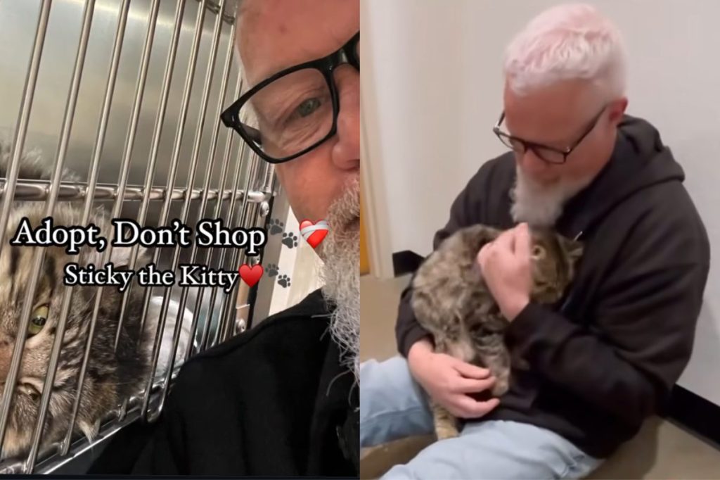 Video of shelter cat with mourning owner.