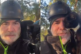 Video of cat with rescuer.