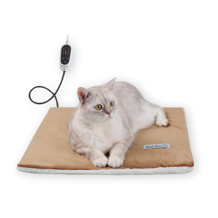 Picture of 15 Best Heated Cat Beds and Houses