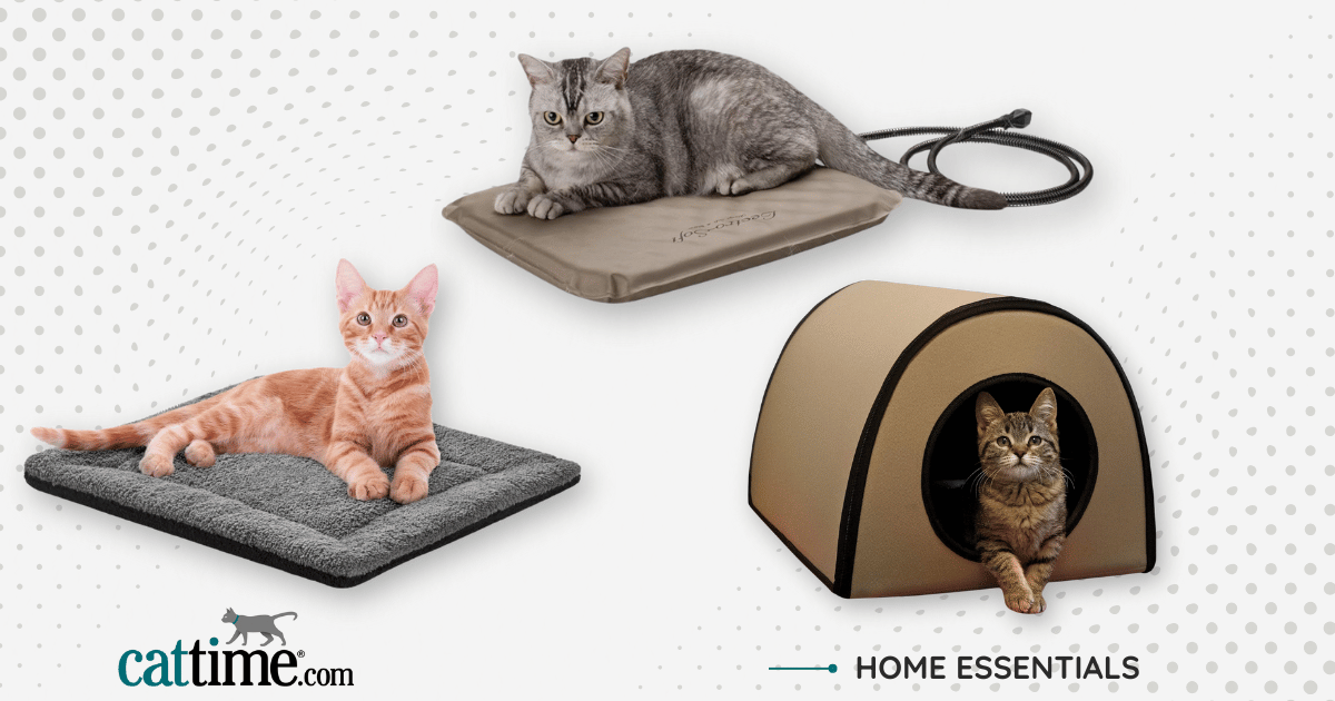Picture of 7 Best Travel-Friendly Heated Cat Beds and Houses — Reviewed - CatTime