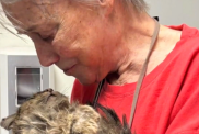 cat reunites with owner video